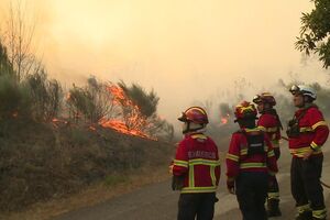 Bombeiros combatem incêndio em Oliveira do Hospital