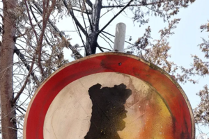 Bordalo II lança crítica à forma como Governo lida com a questão dos incêndios