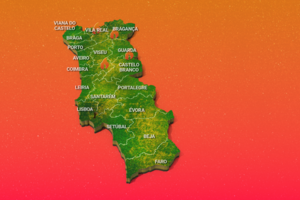 Chamas não dão tréguas: Este é o ponto de situação dos incêndios em Portugal 
