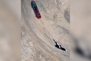 Doninha fica presa em skatepark e é resgatada com uma trela presa a um skate  
