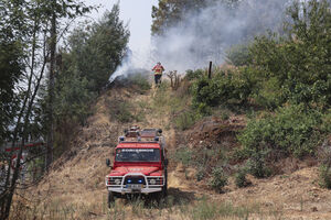 Bombeiros combatem incêndio florestal em Silvares, Fundão