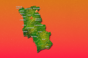 Incêndios 12h 22.08