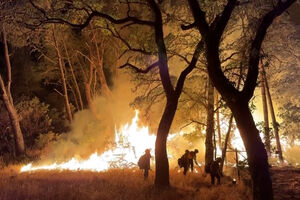 Bombeiros combatem incêndios florestais na Califórnia