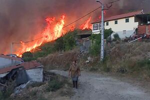 Fogo em Vinhais ameaça habitações em Ervedosa; mais de 300 operacionais combatem as chamas