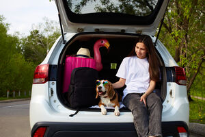 Cão de óculos viaja com jovem e mala cor-de-rosa