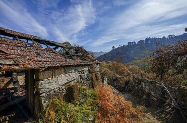 Quebra de turismo pelos incêndios no Gerês: 'Não nos lembramos de um agosto tão fraco'