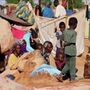 Milhares de pessoas comem ração de animal para sobreviver no Sudão