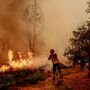 Incêndios:  Mais de 200 operacionais apoiados por 10 meios aéreos combatem fogo em Seia