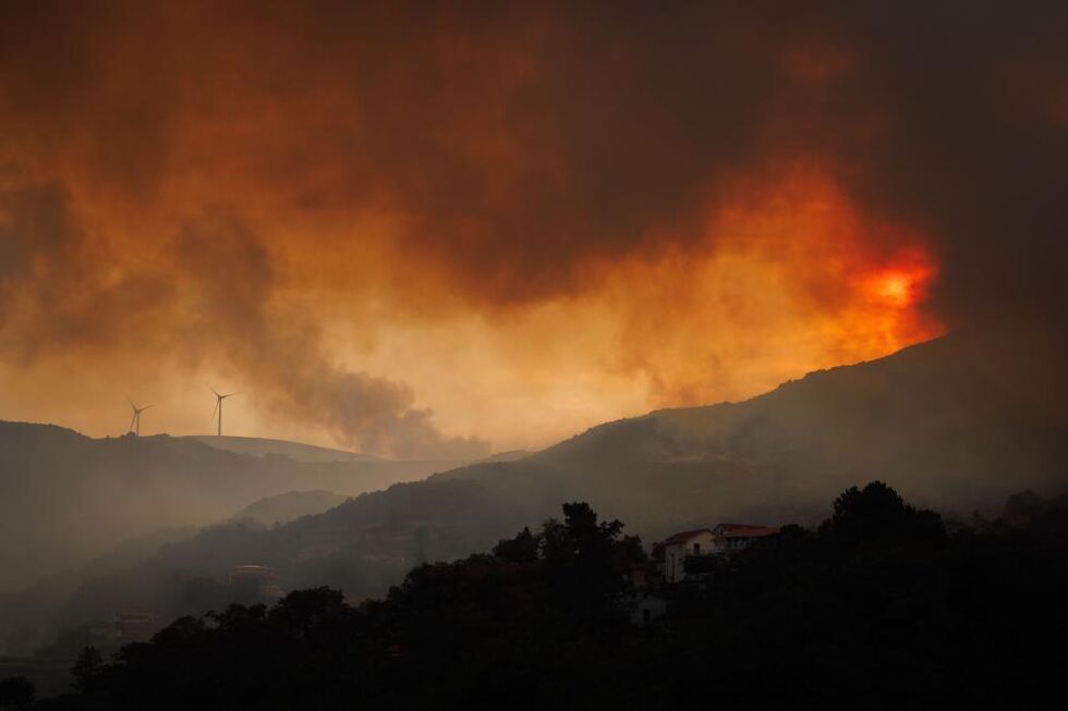 Incêndio em Vila Real e Mondim de Basto queima cerca de 3.000 hectares na serra do Alvão