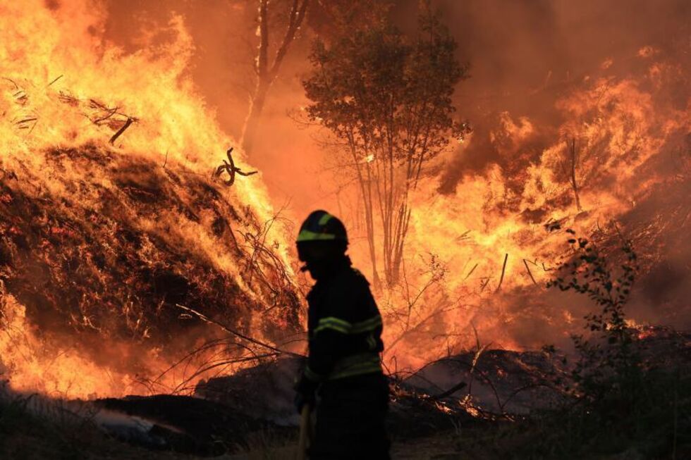 Proteção Civil registou 73 ocorrências de incêndios