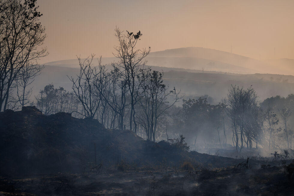 Fogo dominado em Ribeira de Pena e incêndio ativo em Moimenta da Beira