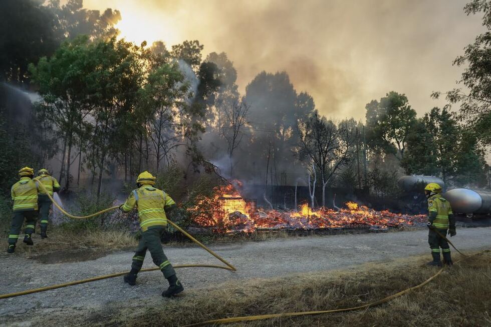 Incêndio mobiliza operacionais em Trancoso e Freches, Portugal