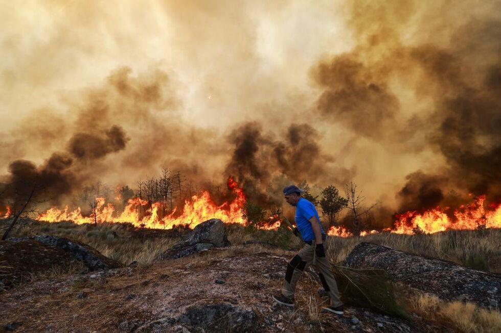 Incêndio em Trancoso causa feridos e mobiliza centenas de operacionais