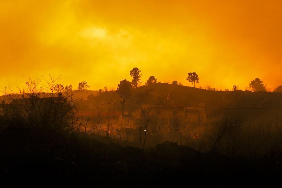 Incêndios em Espanha: 2 mortos e milhares de pessoas retiradas de casa