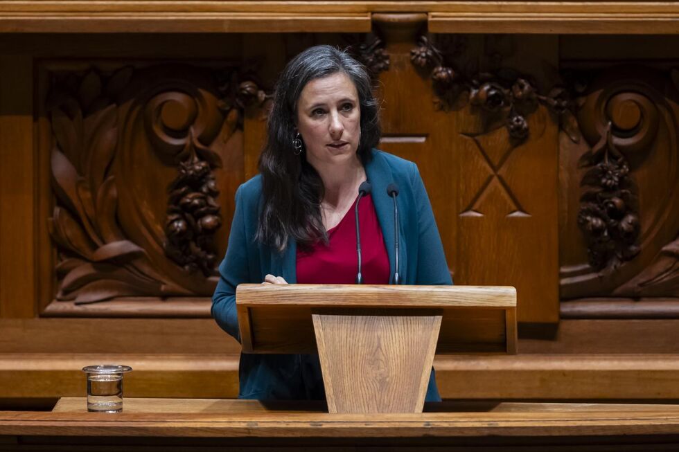 Isabel Mendes Lopes questiona Montenegro sobre limpeza de floresta