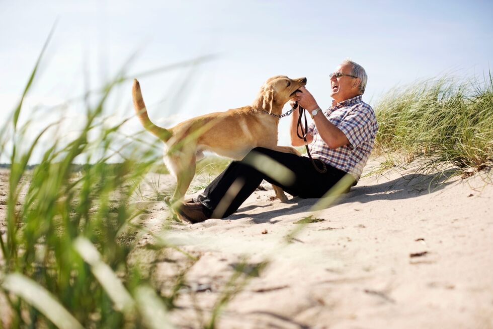 Homem brinca com cão na praia num dia de sol