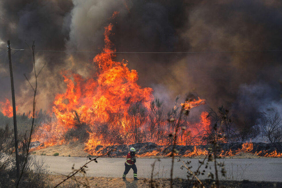 Incêndio destrói casas em Oliveira do Hospital. Bombeiros combatem as chamas