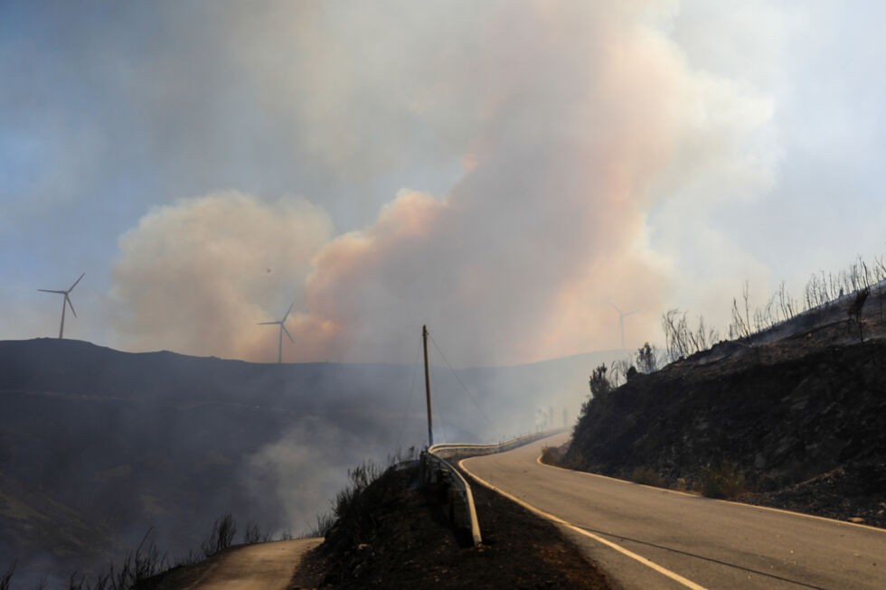 Incêndio na Lousã em fase de consolidação com trabalhos de vigilância