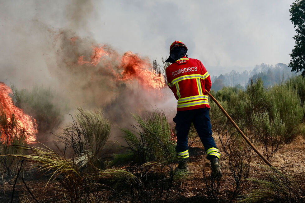 Combate aos incêndios no Sabugal com apoio aéreo e bombeiros no terreno