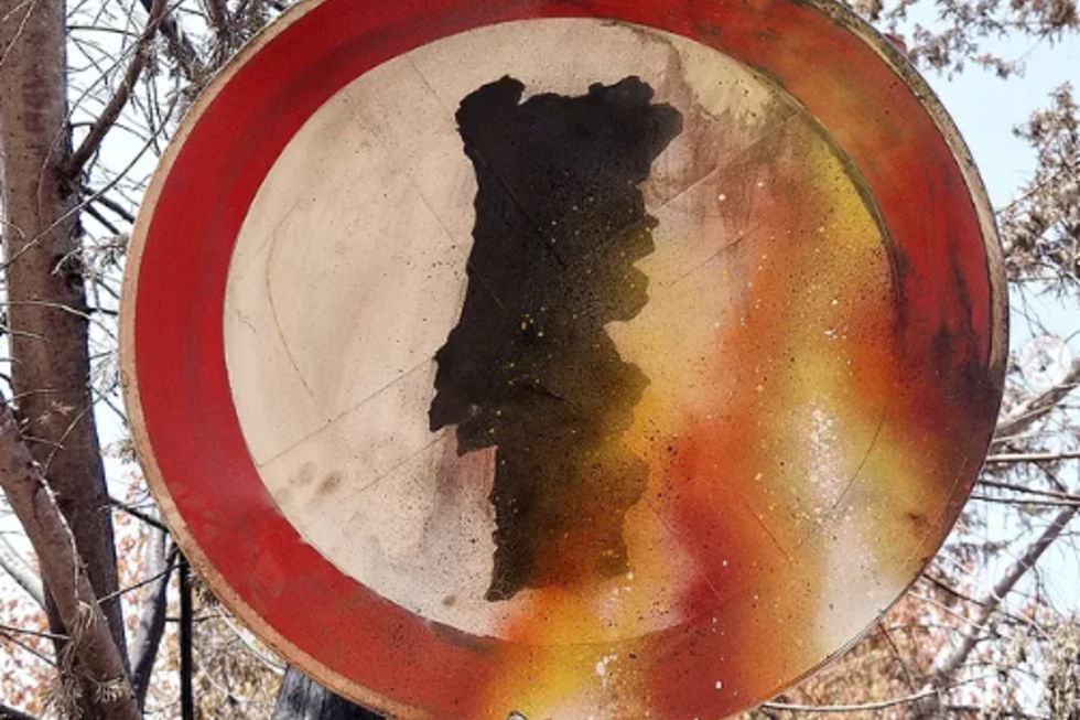 Bordalo II lança crítica à forma como Governo lida com a questão dos incêndios