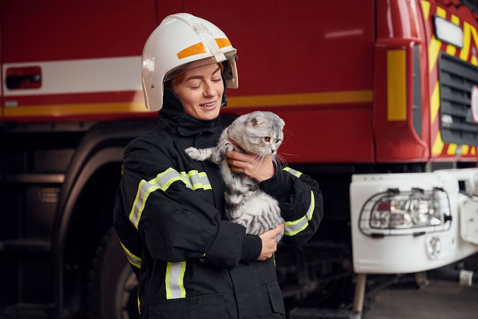 Bombeira segura gato perto de carro dos bombeiros