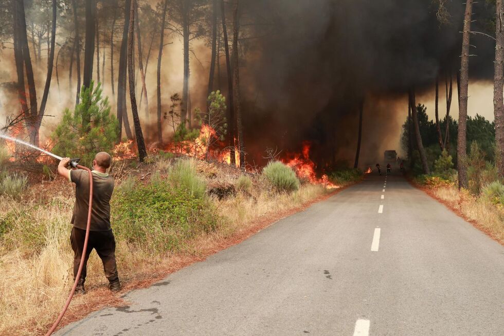 Incêndios em Trancoso e Arganil destroem milhares de hectares