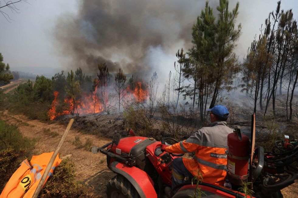 Fogo perto de Violeiro, São Vicente da Beira, causa preocupação em Castelo Branco