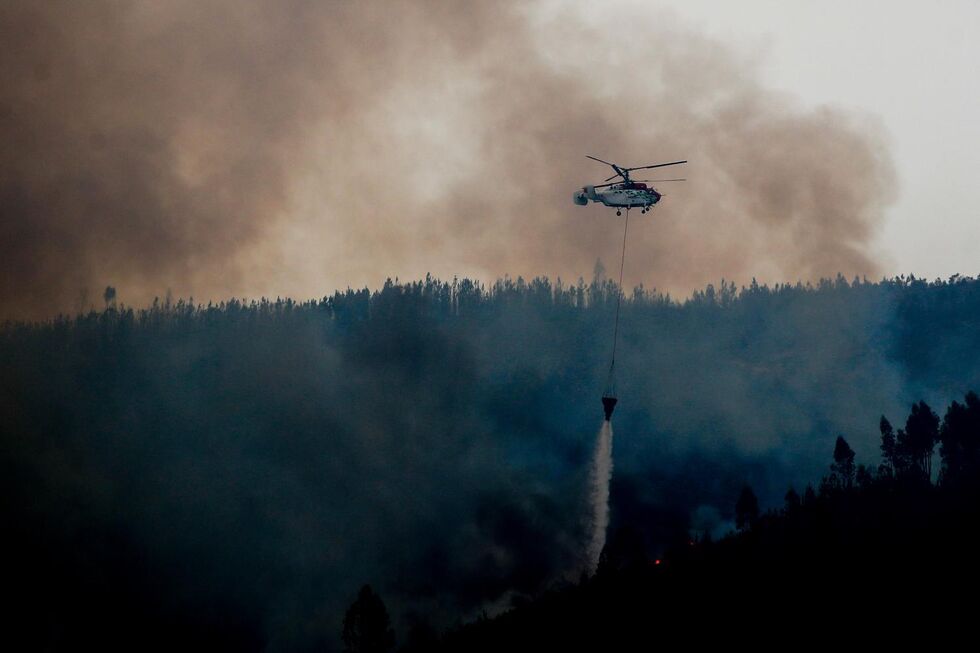 Incêndio em Seia circunscrito; decorrem trabalhos de rescaldo