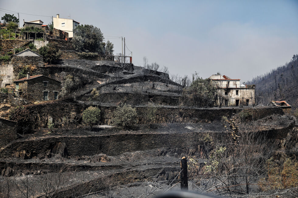 Incêndios destroem casas na região Centro, incluindo Oliveira do Hospital e Lousã