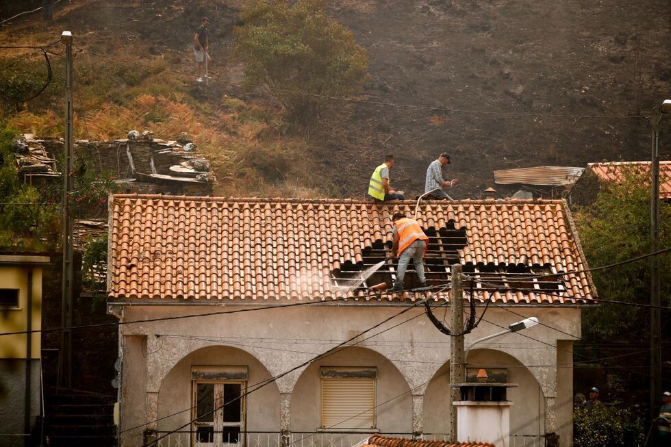 Incêndios destroem casas em Seia, mas avaliação de prejuízos prossegue