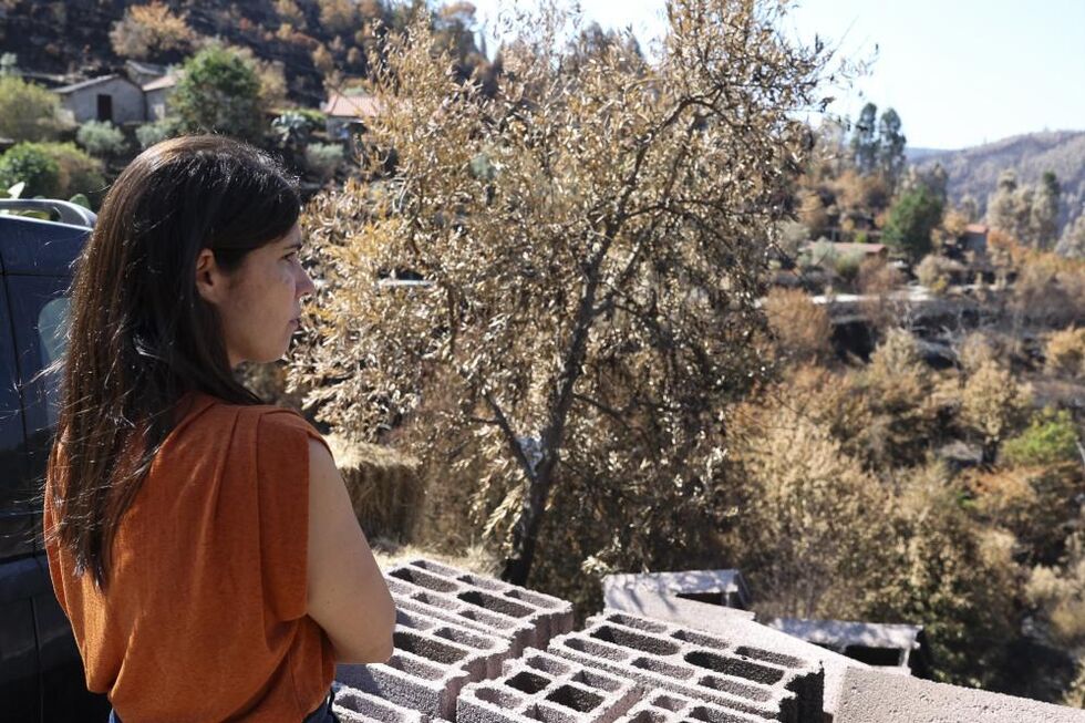 Bloco de Esquerda pede comissão de inquérito à coordenação de fogos