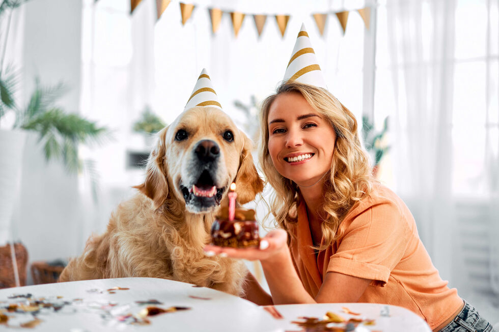 Dia Mundial do Cão: Ideias para celebrar com o patudo