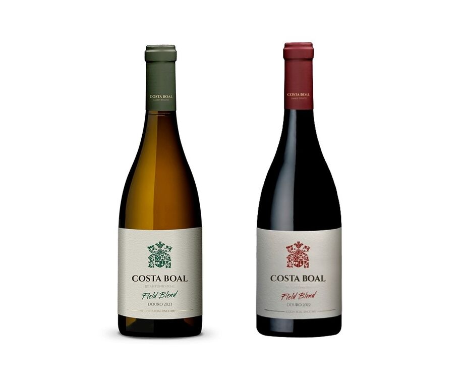 Costa Boal Field Blend branco e tinto (€6)