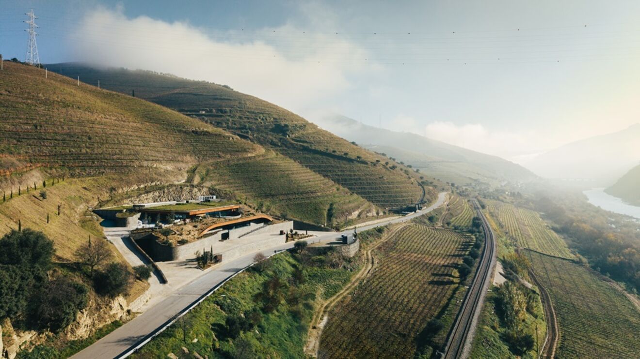 Douro e Comporta juntam-se em encontros gastronómicos a partir de outubro