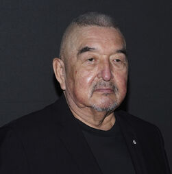 Ator de 'Danças com Lobos' morre aos 73 anos