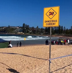 Tubarão mata surfista nos arredores de Sydney 
