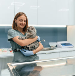 O seu pet fica stressado sempre que chega a hora de ir ao veterinário? Então este artigo é para si. Perceba como ajudá-lo a acalmar-se