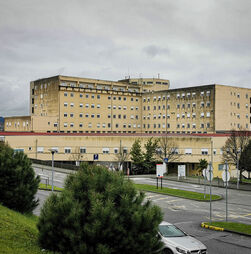 'Se tarefeiros pararem a responsabilidade é de Montenegro e Ana Paula Martins'