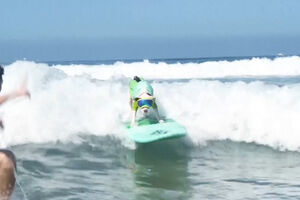 Competição de surf para cães mais antiga do mundo celebra 20 anos