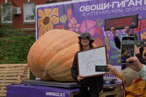 Agricultor russo bate recorde com abóbora gigante de quase uma tonelada  