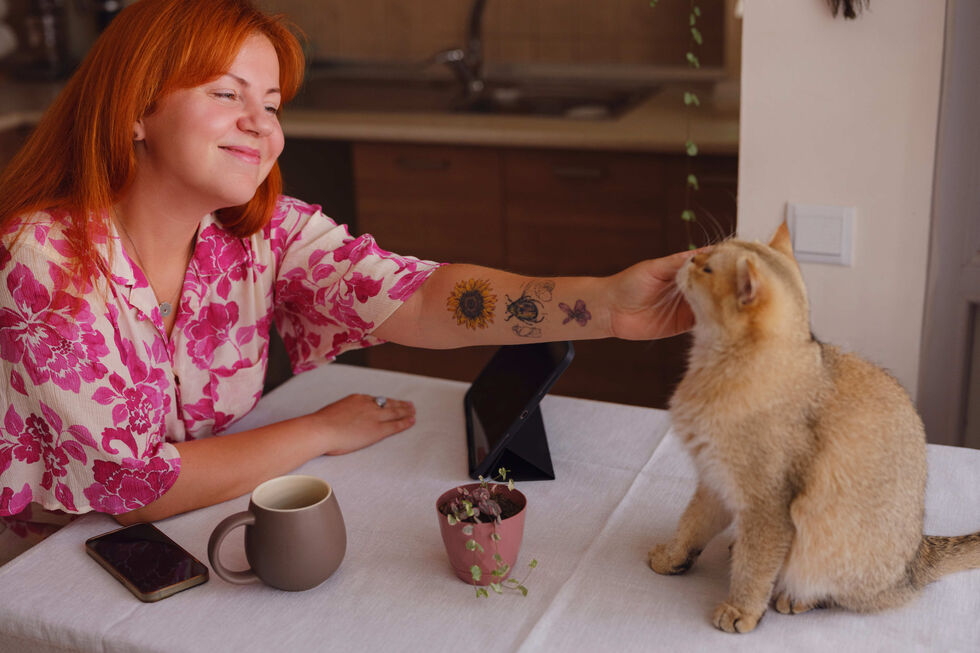 Beber um café enquanto faz festinhas a um gato? Conheça estes 2 'cat cafés'