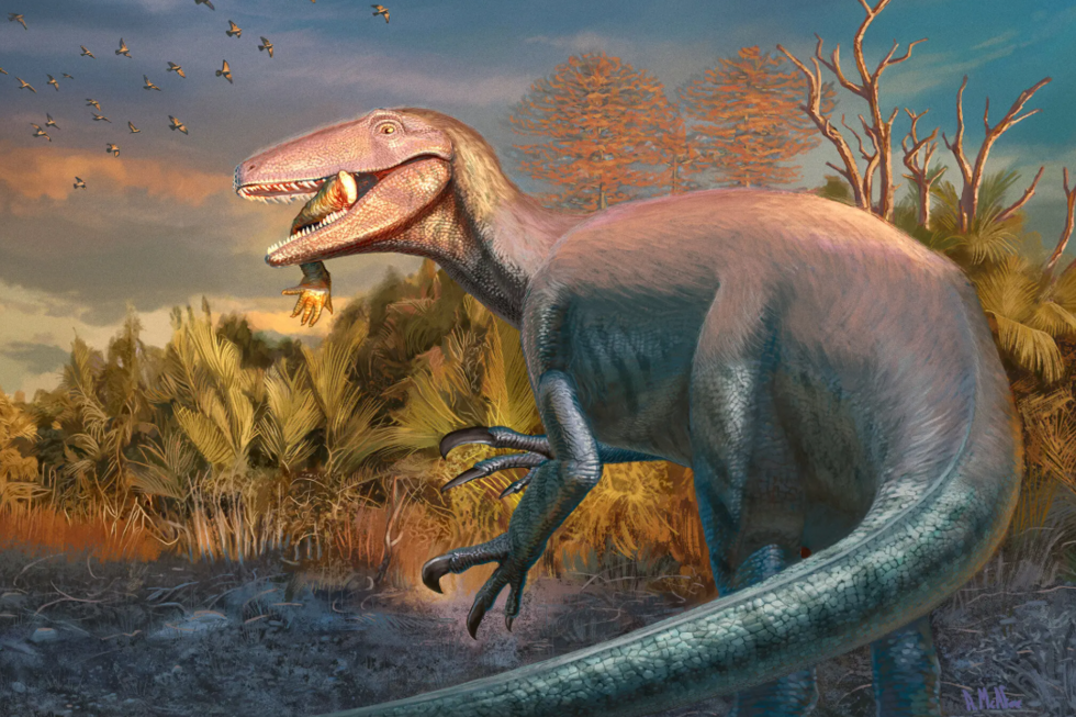 Descoberto novo dinossauro, Joaquinraptor casali, na Patagónia, Argentina, com pata de crocodilo na boca