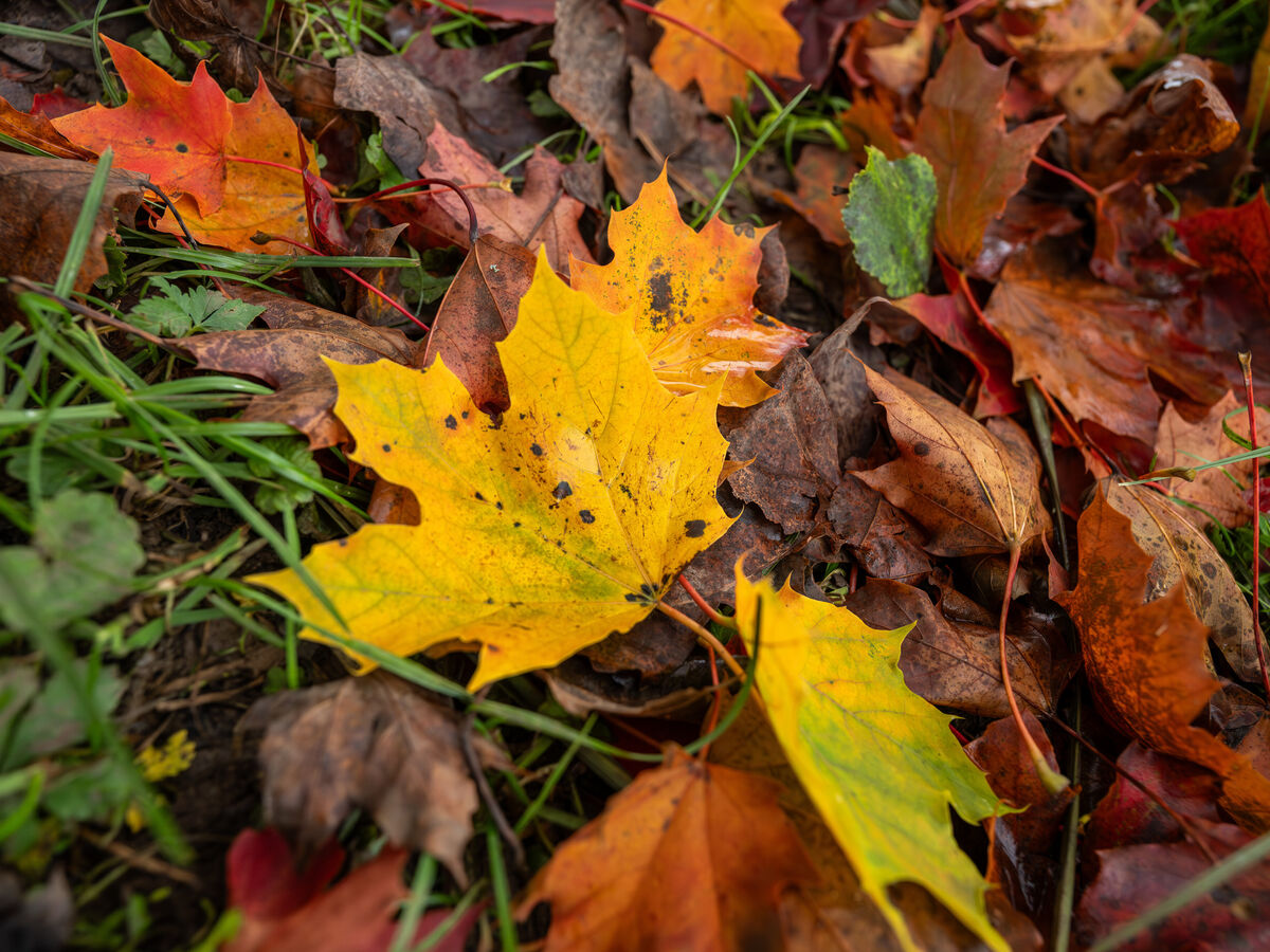 Vinte peças e acessórios para este outono