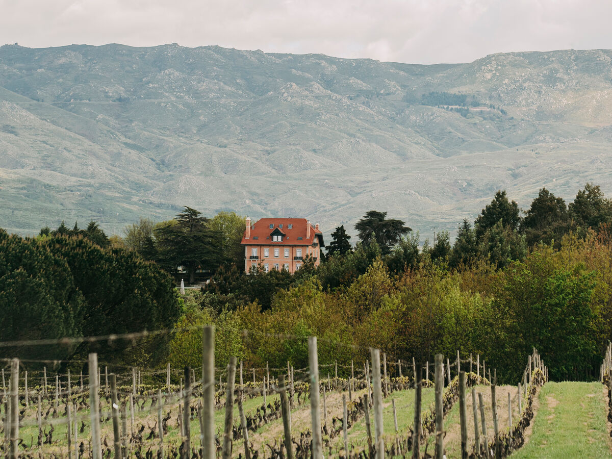 Um Dão de muitas faces