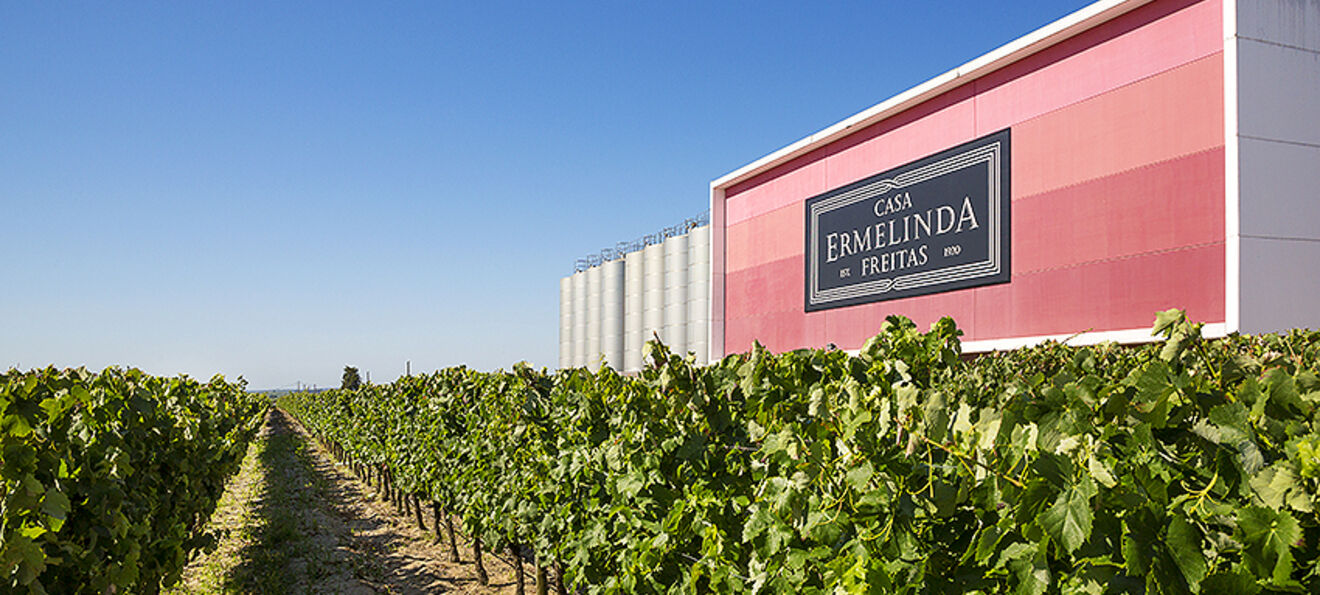 Casa Ermelinda Freitas celebra um século de legado no feminino em Palmela, Portugal
