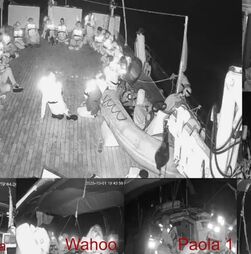 Chegam a Itália primeiros elementos da flotilha expulsos por Israel