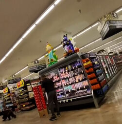 Urso surpreende clientes de supermercado nos EUA  