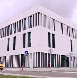 Grávida que deu à luz à porta do Hospital de Sintra ia para consulta no Francisco Xavier quando entrou em trabalho de parto