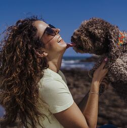 Lamber é sempre sinal de carinho? Descubra o que o seu cão quer comunicar através das lambidelas