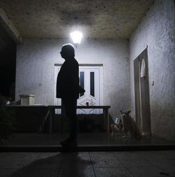 Tragédia na escola de Castro Daire: o que terá levado ao suposto 'pacto de morte'? 